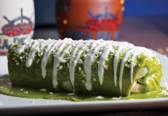 Chicken and Spinach Burrito